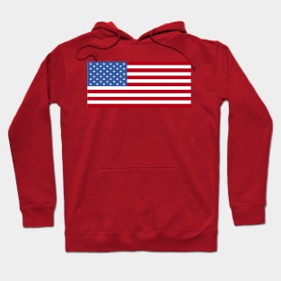 THE AMERICAN FLAG Hoodie